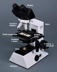 Laborky z biologie